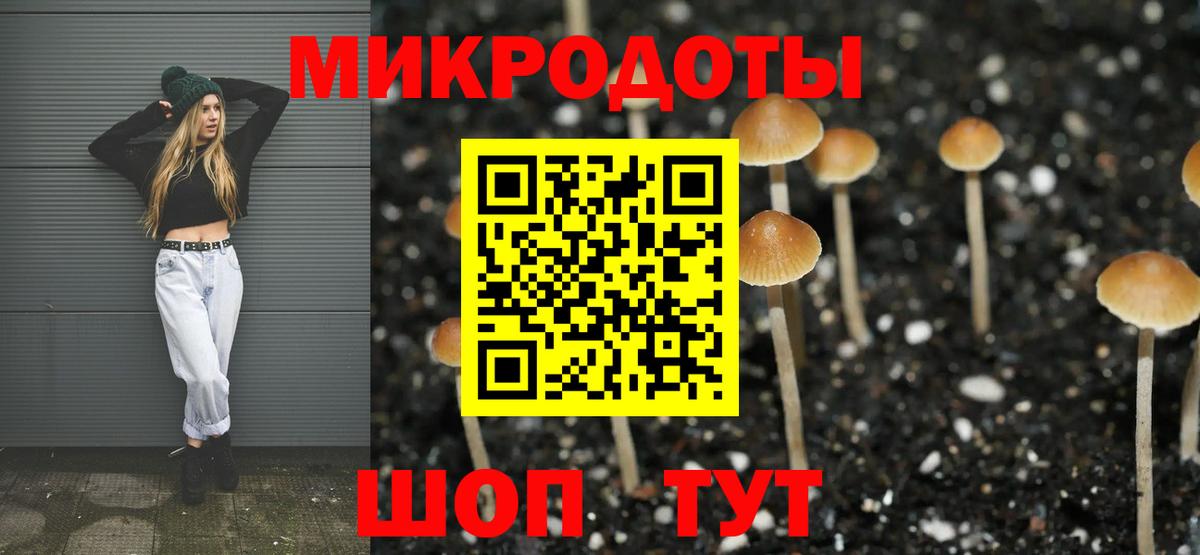 Псилоцибиновые грибы GOLDEN TEACHER  Вход с VPN  Магнитогорск 