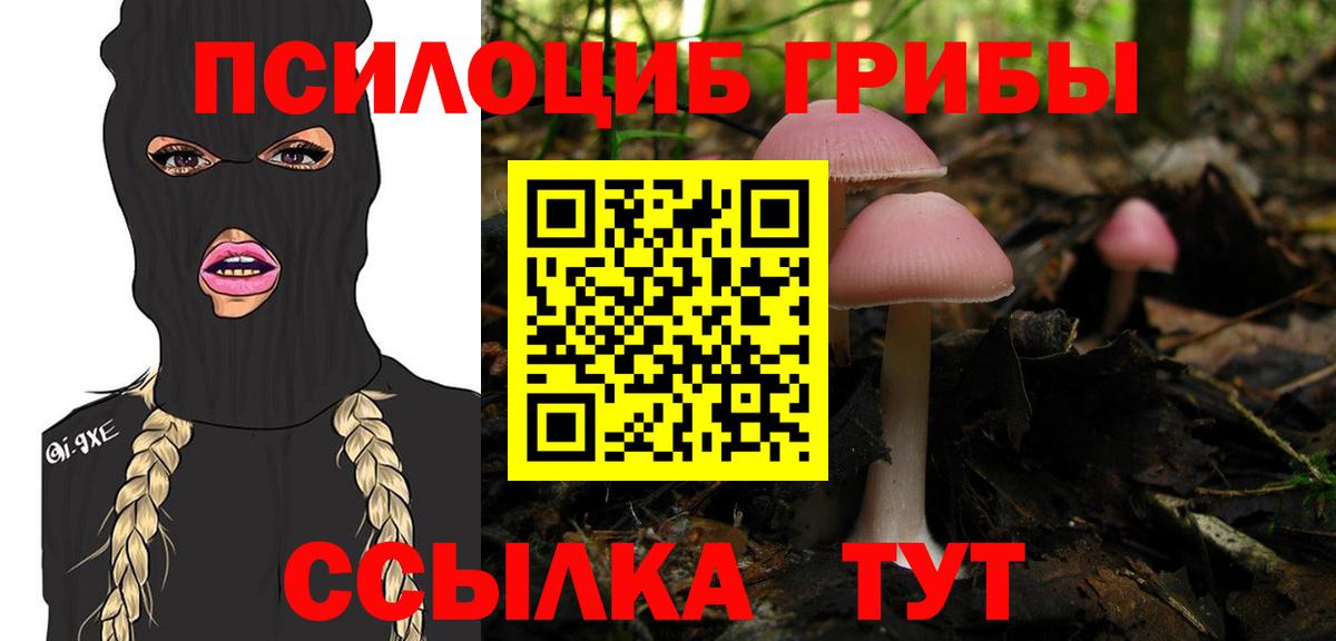Галлюциногенные грибы Psilocybe Магнитогорск